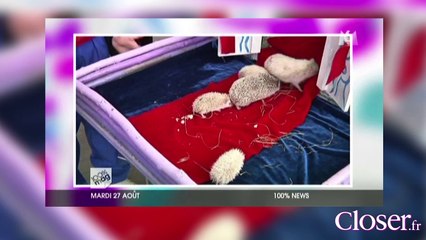 Le Zapping Closer.fr du 28 août 2013