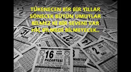 Dönmeyecek - Sibel Egemen