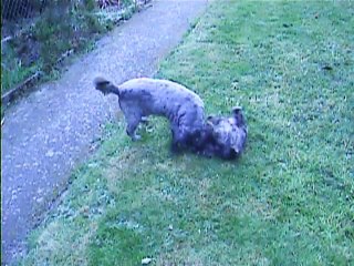 Chanel et Jaudy le 2 avril 2014