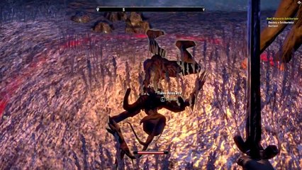 The Elder Scrolls Online Gameplay Walkthrough Part 1 - PC Ultra Settings Review Playthrough
