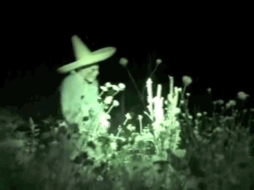 MEXICO UFO SIGHTING CAUGHT ON VIDEO