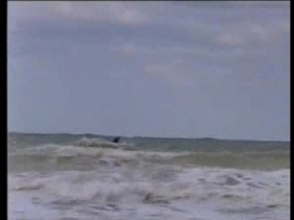 jet.avi