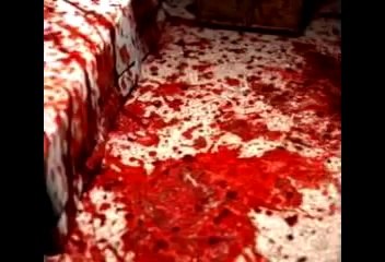 Какво направиха евреите на България