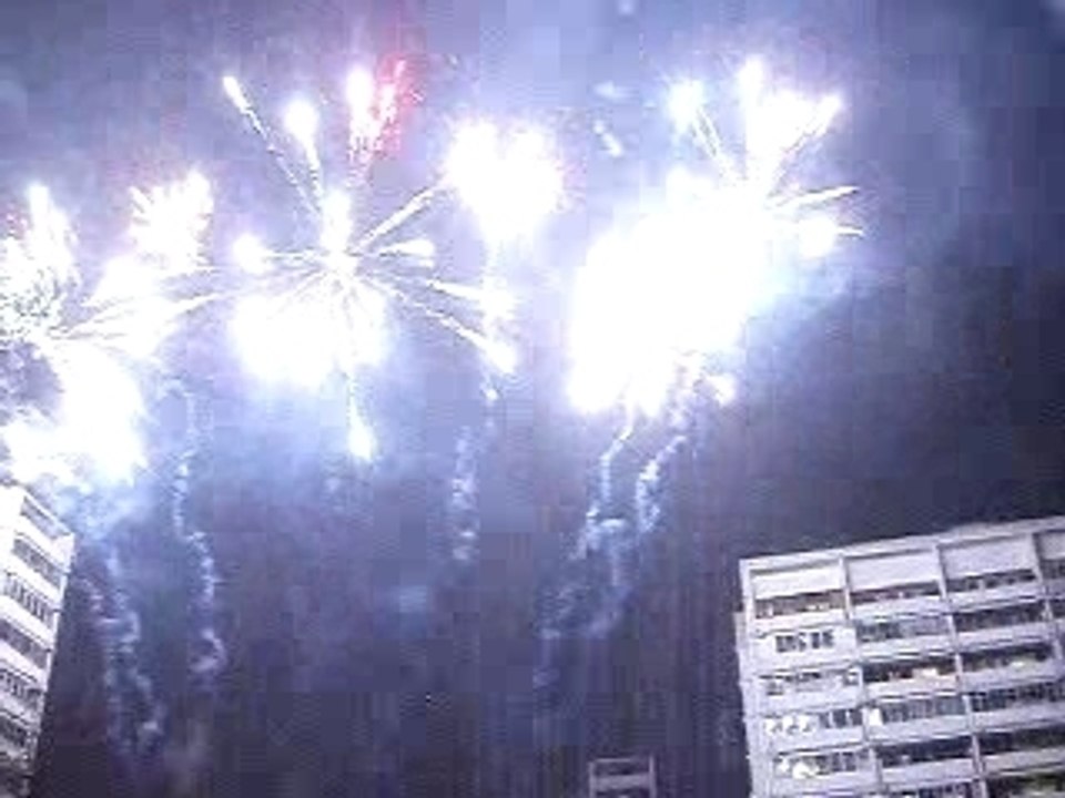 Moscow New Year Private Fireworks