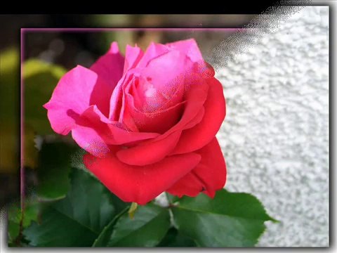 ~~HÜLYA BOZKAYA AGLATMA GELEM~~