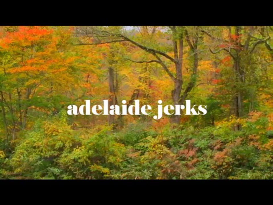 Craigslist 6 - Adelaide Jerks
