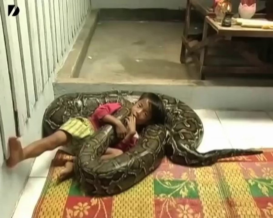 Kid Rides Giant Python
