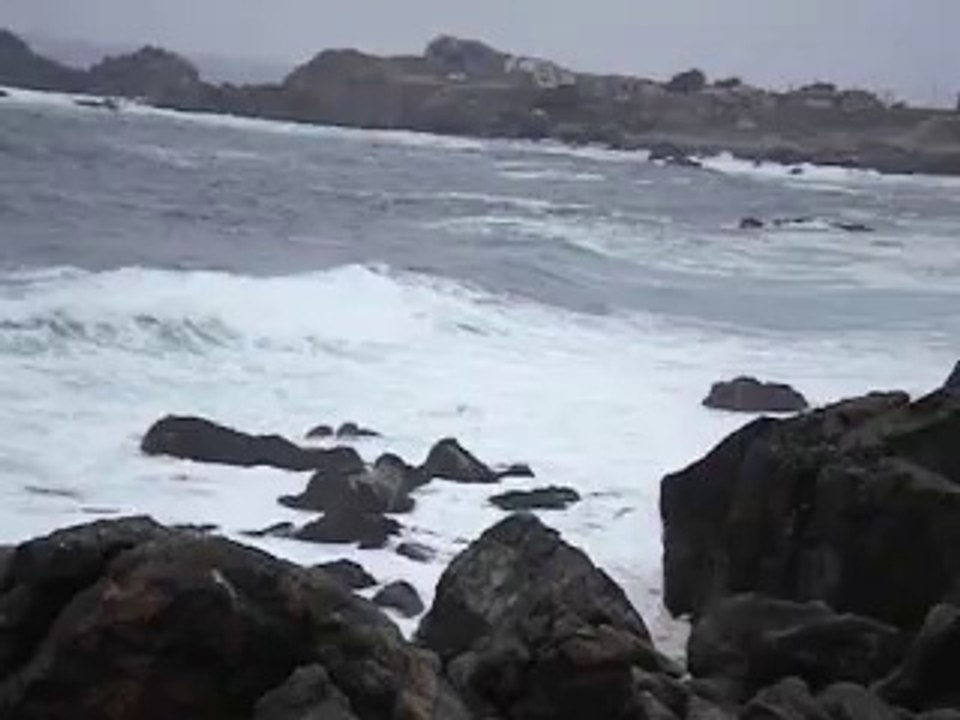 paisaje pichidangui