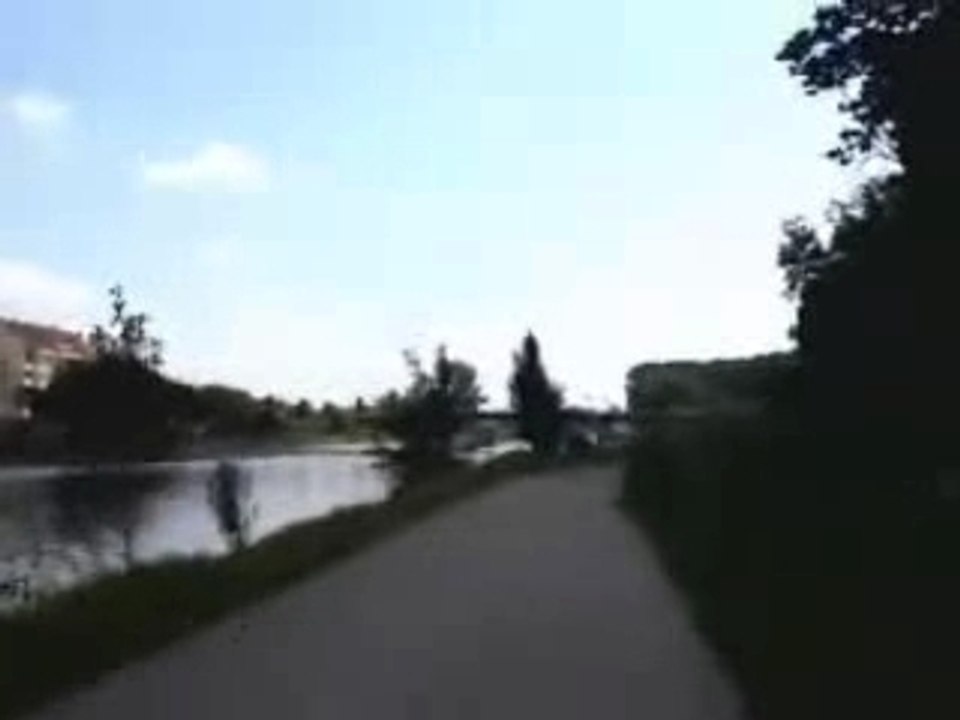 avelo