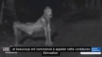Étrange créature (Skinwalkers) au Nouveau-Mexique