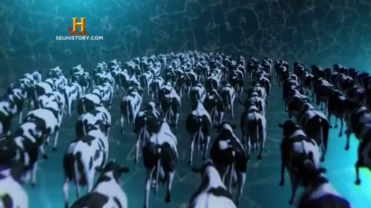A Grande História - 7 - A Ascensão dos Carnívoros