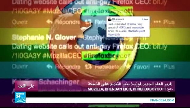 على النت - لوبي القطط يتدخل في الانتخابات التركية ويثير سخرية رواد النت