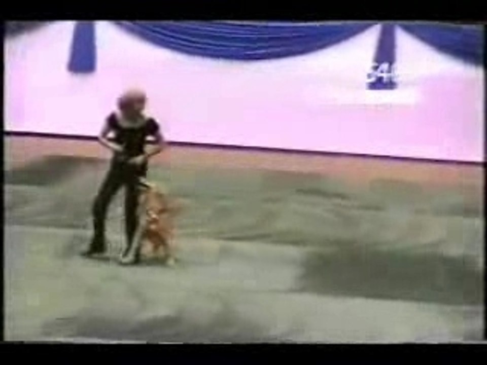 chien danceur