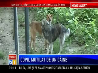 Copilul de 11 ani muscat de câine a ramas fara o ureche