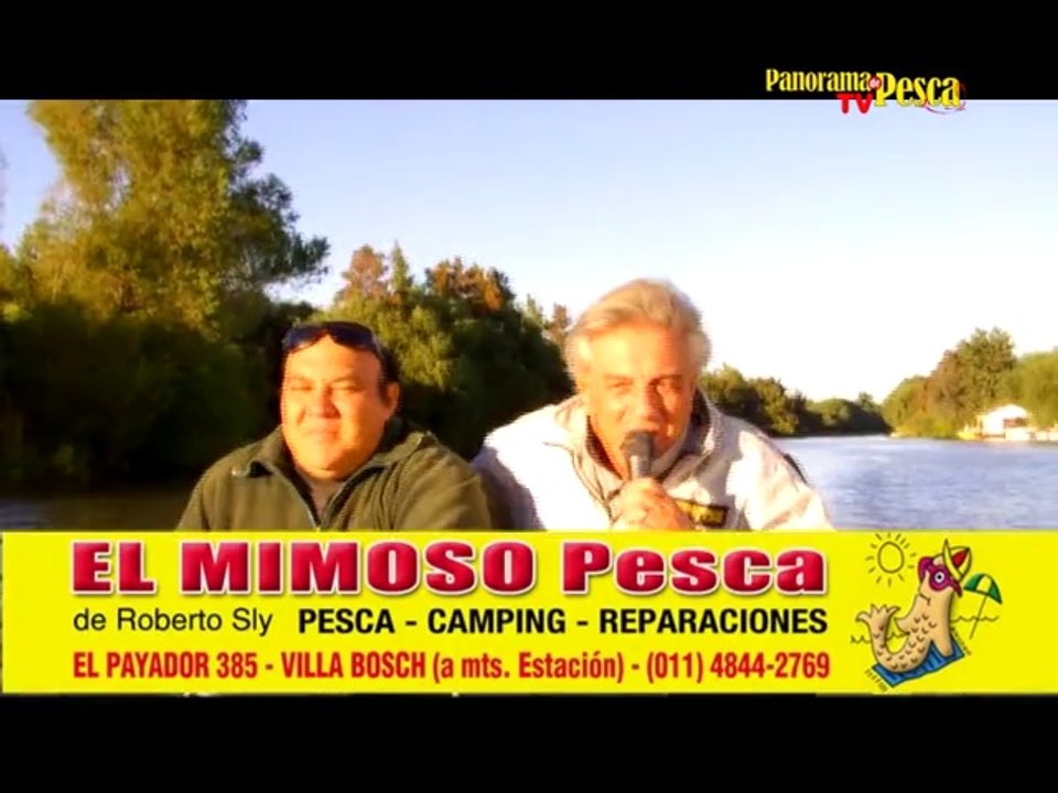 Panorama TV 172
