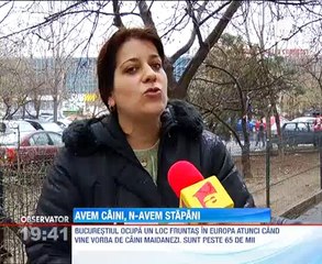 In fiecare ora 2 oameni sunt muscati de maidanezi