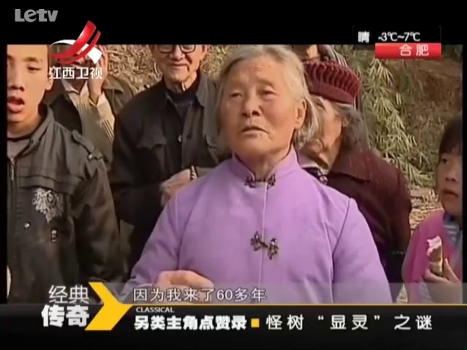 20140120  怪树“显灵”之谜