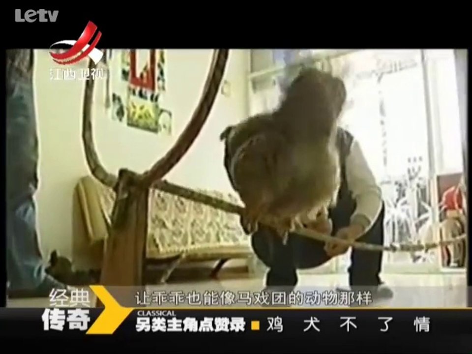 20140122  另类主角点赞录 鸡犬不了情