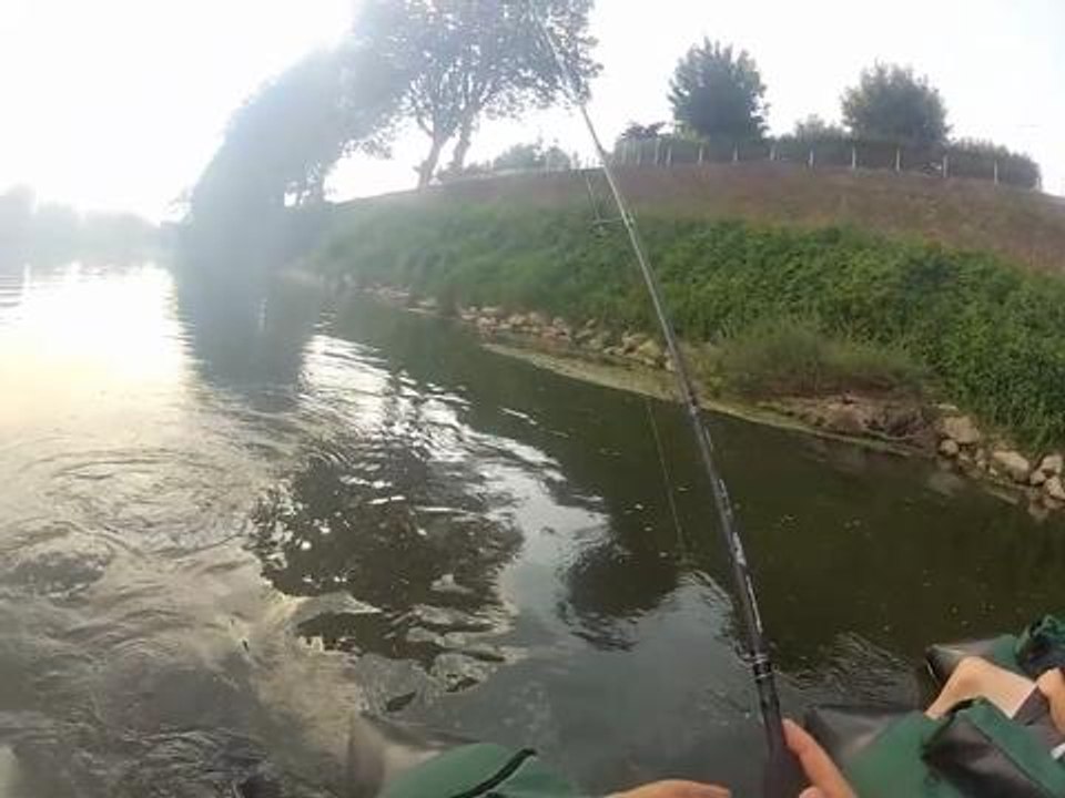 Les rock bass de la Loire