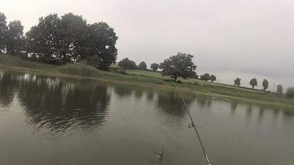 Test de la canne Sportism de Sakura