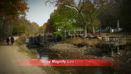 Gray Magnify Lower Third - After Effects Template