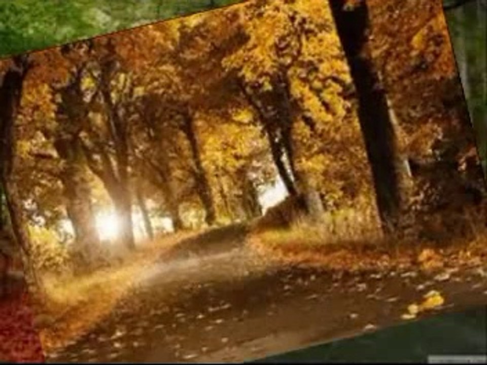 Tasavvufi  hayat ve dünya  hayatı 10