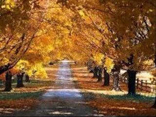 Tasavvufi  hayat ve dünya  hayatı  12