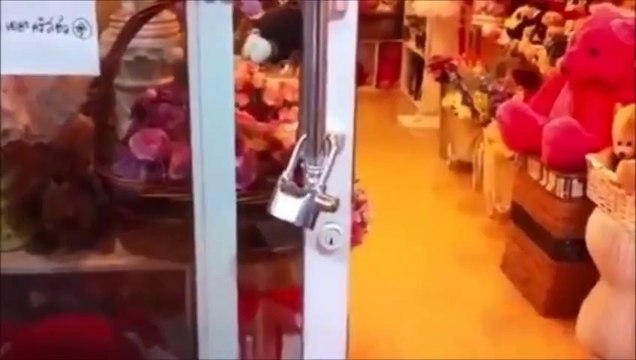 110 Desibel Alarmlı Asma Kilit