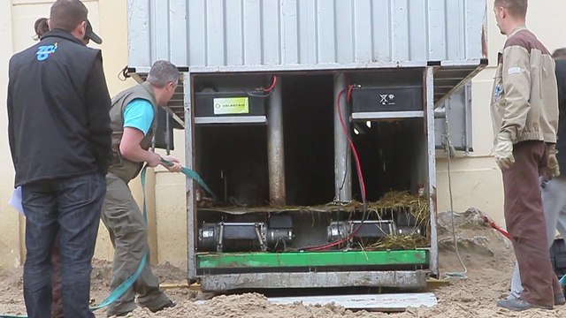 L'arrivée des éléphants au zoo de Maubeuge