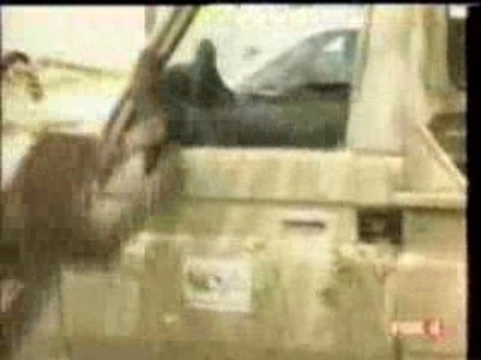 How not to release a leopard