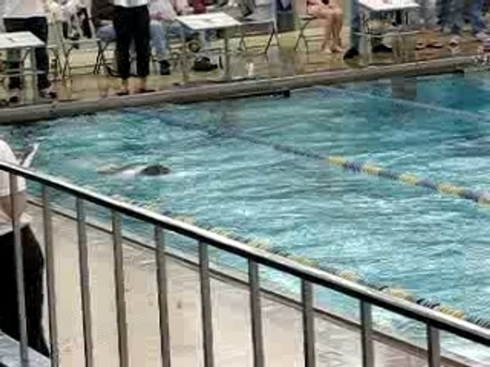 200 Fly