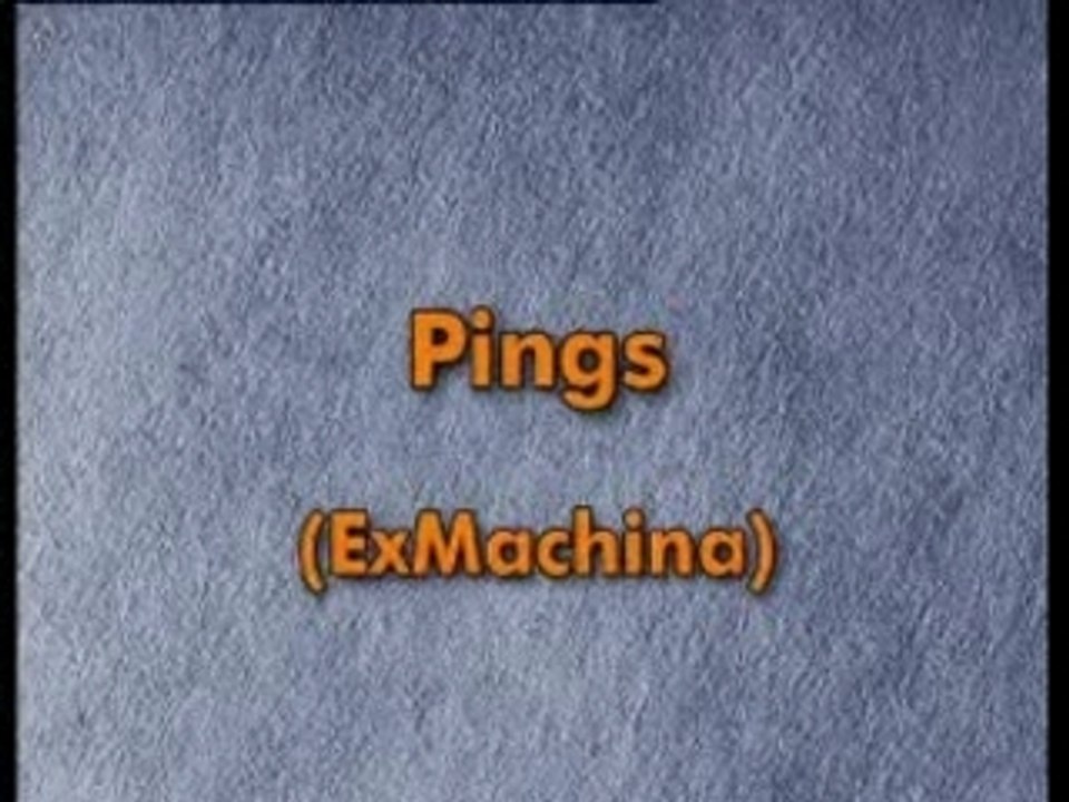 animation pingouins