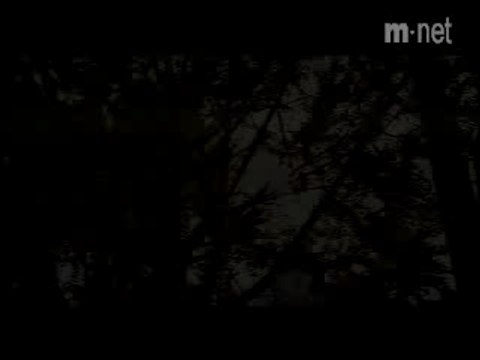 Kiss_-_Because_Im_a_girl