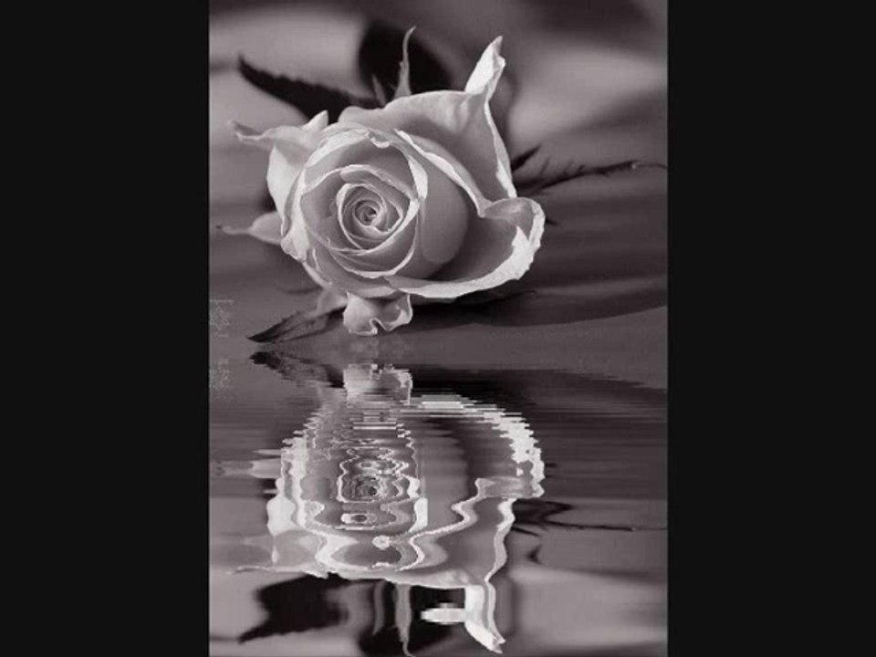 ΓΙΑΝΝΗΣ ΠΟΥΛΟΠΟΥΛΟΣ-ΑΝ ΓΥΡΙΣΕΙΣ ΑΝ