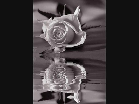 ΓΙΑΝΝΗΣ ΠΟΥΛΟΠΟΥΛΟΣ-ΑΝ ΓΥΡΙΣΕΙΣ ΑΝ