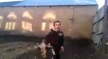 Kid got his arse beaten by a rooster after teasing chicken.