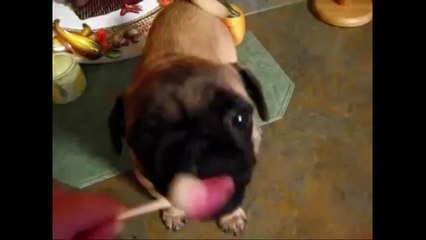 Work That Sucker To Death!