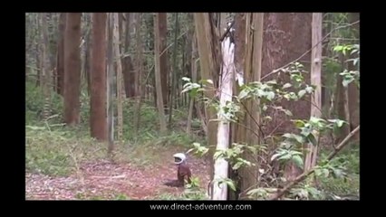 Méga saut en VTT / Venez vous envoyez en l'air.