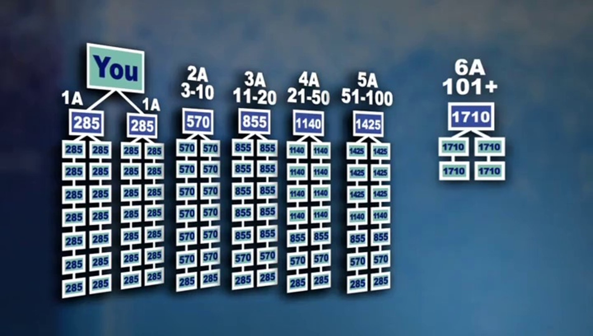 ⁣Business Overview