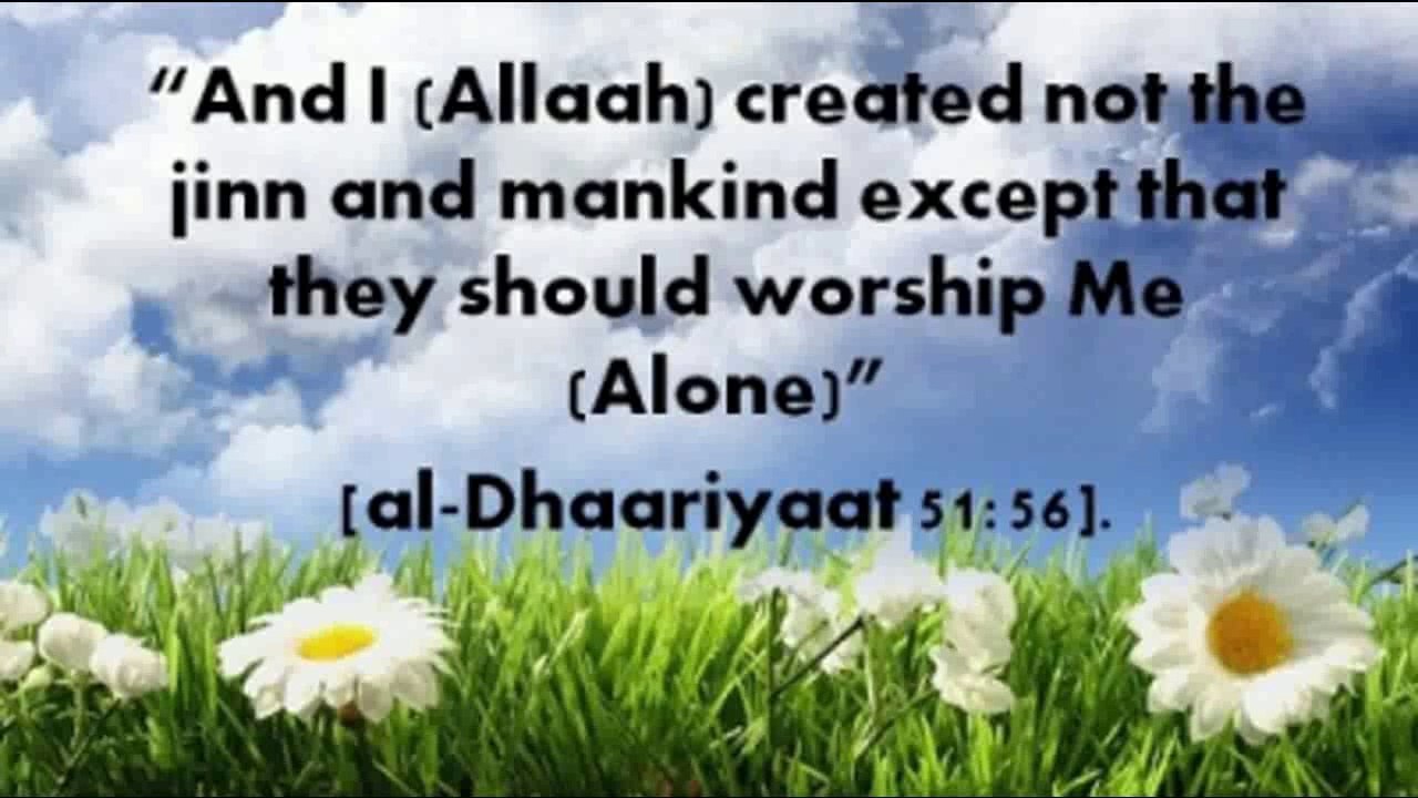 Aaj ka Musalman Allama iqbal -Shaykh Zulfiqar Ahmad