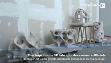 Erosion de la côte : le corail artificiel imprimé en 3D sera t-il un remède ?