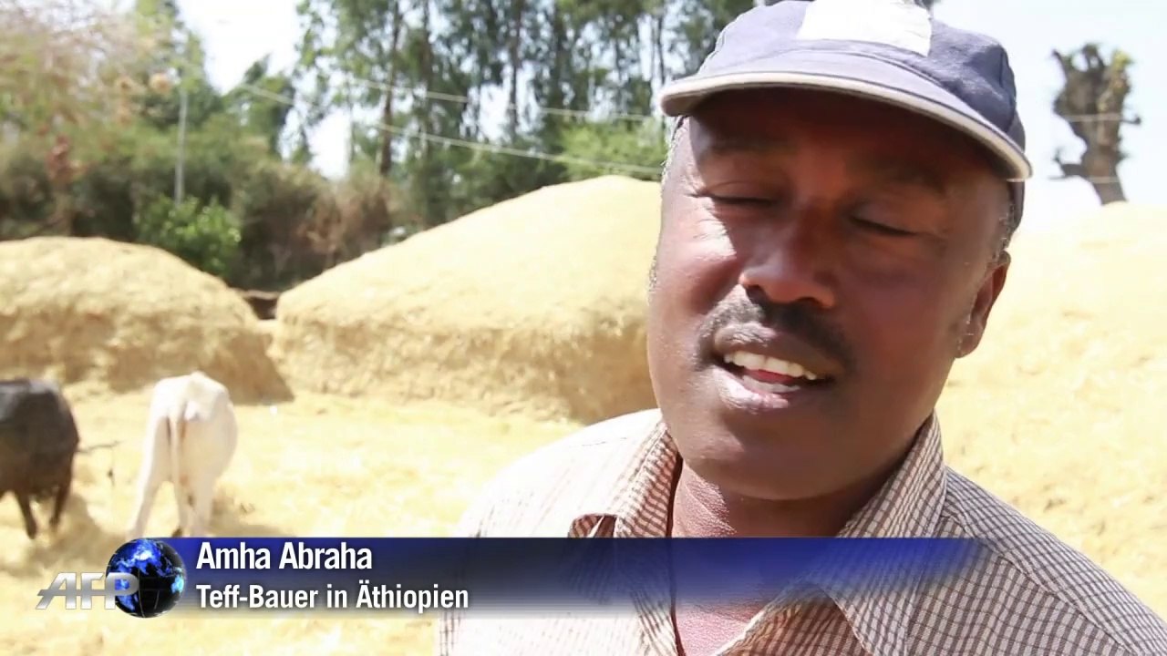 Trendiges Teff - glutenfreies Mehl aus Äthiopien