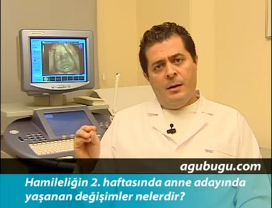Hamileliğin 2. Haftası - Hafta Hafta Gebelik