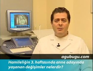 Hamileliğin 3. Haftası - Hafta Hafta Gebelik