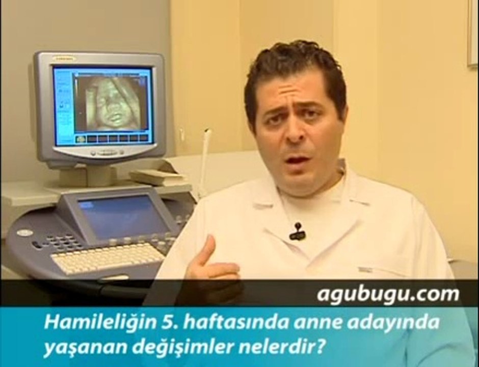 Hamileliğin 5. Haftası - Hafta Hafta Gebelik