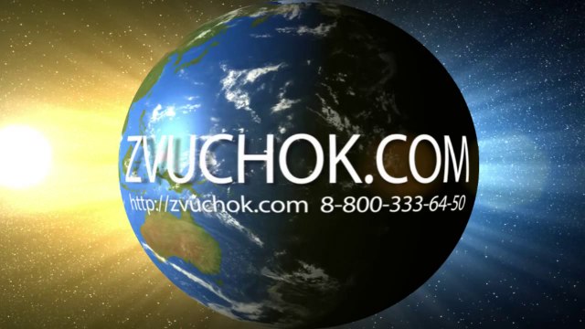 Продакшн студия ЗвучОк! Наш бесплатный номер телефона.