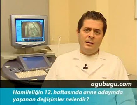 Hamileliğin 12. Haftası - Hafta Hafta Gebelik