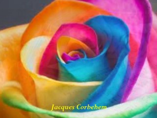 POÉSIE : "LA FERVEUR DES ROSES"