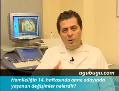 Hamileliğin 14. Haftası - Hafta Hafta Gebelik