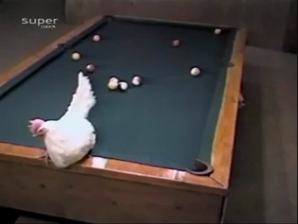 Yumurta ile bilardo